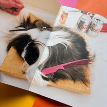 Load image into Gallery viewer, Animals
