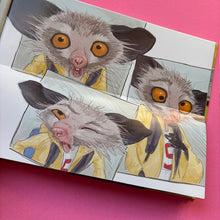 Load image into Gallery viewer, After a While, Crocodile : A Lift-the-Flap Picture Book of Wordplay
