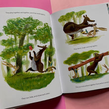 Load image into Gallery viewer, Rabbit, DUCK &amp; BIG BEAR
