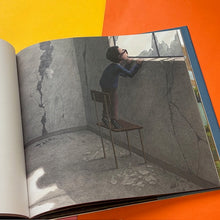 Load image into Gallery viewer, Victor And The Giant
