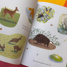 Load image into Gallery viewer, A Song Of The Seasons
