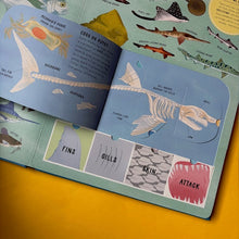 Load image into Gallery viewer, The Lift-the-Flap Encyclopaedia of Oceans : 200 Flaps to Explore!
