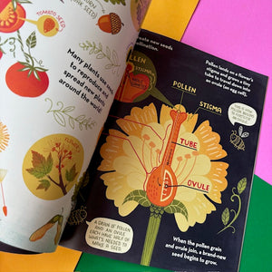 What's Inside a Flower? : And other questions about science and nature