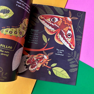 What's Inside a Caterpillar Cocoon?
