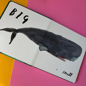 Book Of Opposites