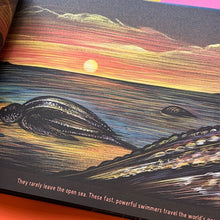 Load image into Gallery viewer, The Ocean at Night
