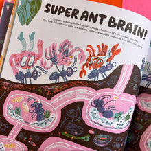 Load image into Gallery viewer, The No-Brainer Brain Explainer : How Animals Think, from Humans to Birdbrains
