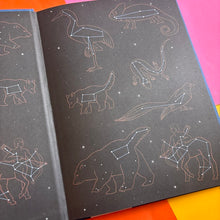 Load image into Gallery viewer, Secret Stories of Space : A Fieldguide to Uncover Our Incredible Universe
