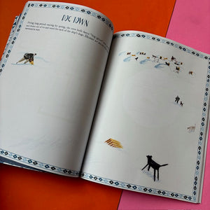 Shackleton's Journey Activity Book