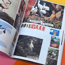 Load image into Gallery viewer, Animal Books for Jaap, Zeno, Anna, Julian &amp; Luca
