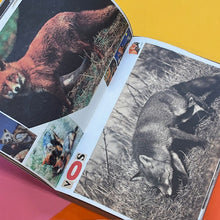 Load image into Gallery viewer, Animal Books for Jaap, Zeno, Anna, Julian &amp; Luca
