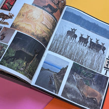 Load image into Gallery viewer, Animal Books for Jaap, Zeno, Anna, Julian &amp; Luca
