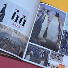 Load image into Gallery viewer, Animal Books for Jaap, Zeno, Anna, Julian &amp; Luca
