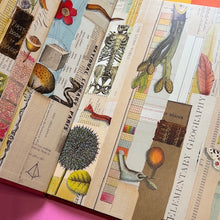 Load image into Gallery viewer, The Right Word:  Roget and His Thesaurus
