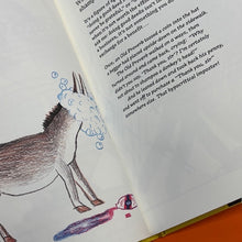 Load image into Gallery viewer, The Book Of Whys
