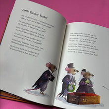 Load image into Gallery viewer, A Lot of Silly : A Book of Rhymes and Nonsense

