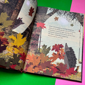 I Can Do That : A Big Hedgehog and Little Hedgehog Adventure