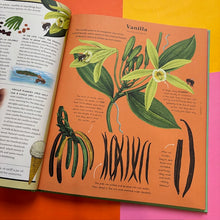 Load image into Gallery viewer, The Stuff That Stuff is Made of:The Things We Make With Plants
