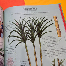 Load image into Gallery viewer, The Stuff That Stuff is Made of:The Things We Make With Plants
