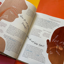 Load image into Gallery viewer, Sound - Discovering the Vibrations We Hear
