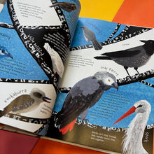 Load image into Gallery viewer, Sound - Discovering the Vibrations We Hear
