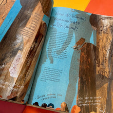 Load image into Gallery viewer, Sound - Discovering the Vibrations We Hear
