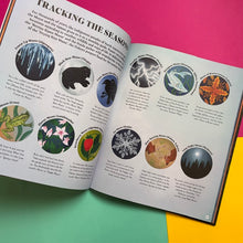 Load image into Gallery viewer, Chasing The Moon: A captivating journey through its magical phases
