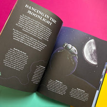 Load image into Gallery viewer, Chasing The Moon: A captivating journey through its magical phases
