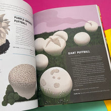 Load image into Gallery viewer, Encyclopedia of Fungi
