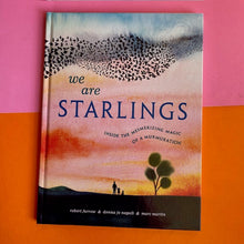 Load image into Gallery viewer, We Are Starlings

