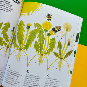 The Little Gardener's Handbook