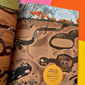 21 Things to Do With a Mud Pie : An Outdoor Activity Book