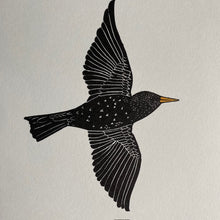 Load image into Gallery viewer, The Starling&#39;s Song
