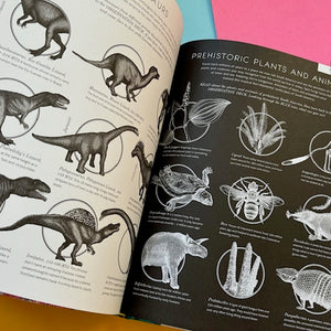 Illumipedia