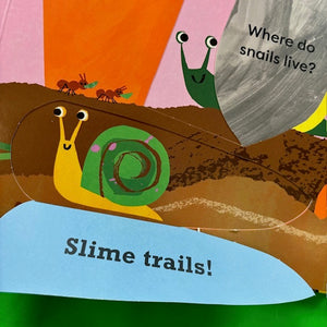 I Spot A Snail