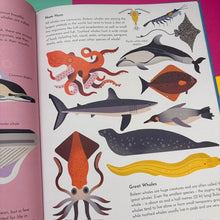 Load image into Gallery viewer, Wild About Whales
