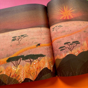 The Sun And The Rhinoceros