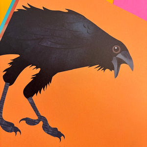 How To Know A Crow: The Biography of a Brainy Bird