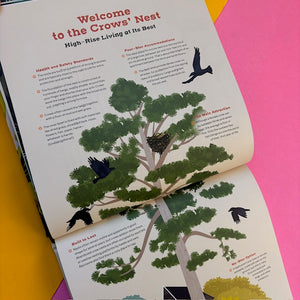 How To Know A Crow: The Biography of a Brainy Bird