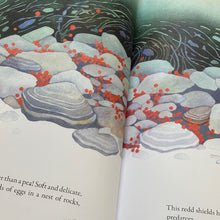 Load image into Gallery viewer, Salmon Run: An epic journey to the ocean and back
