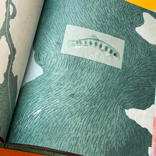 Load image into Gallery viewer, Salmon Run: An epic journey to the ocean and back
