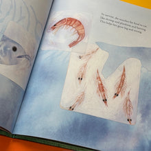 Load image into Gallery viewer, Salmon Run: An epic journey to the ocean and back
