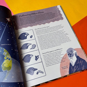 Super Navigators: How Animals Find Their Way