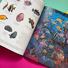 Load image into Gallery viewer, The Incredible 3D Ocean Dive
