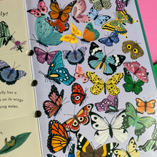Load image into Gallery viewer, Flip Flap: Bees And Beetles
