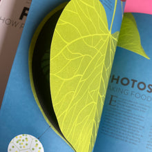 Load image into Gallery viewer, Plant Life
