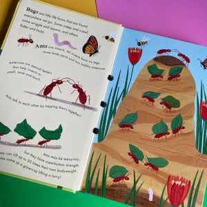 Flip Flap: Bees And Beetles