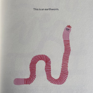 The Unfortunate Life of Worms