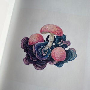 Fungal Inspiration