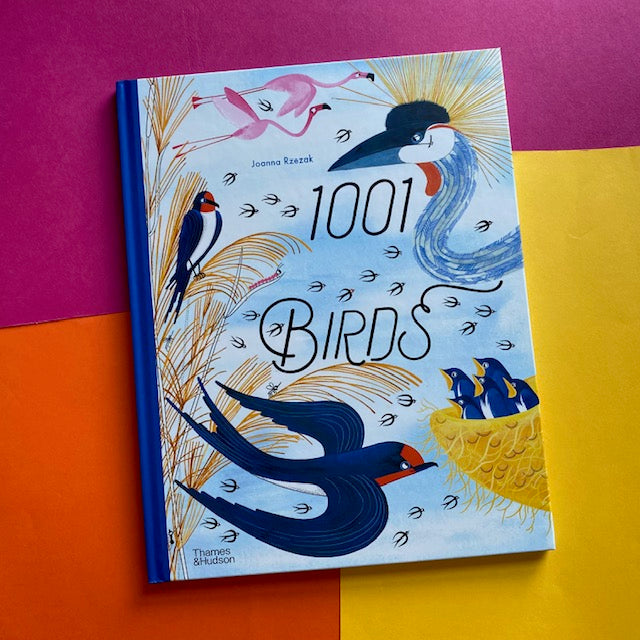 1001 Birds